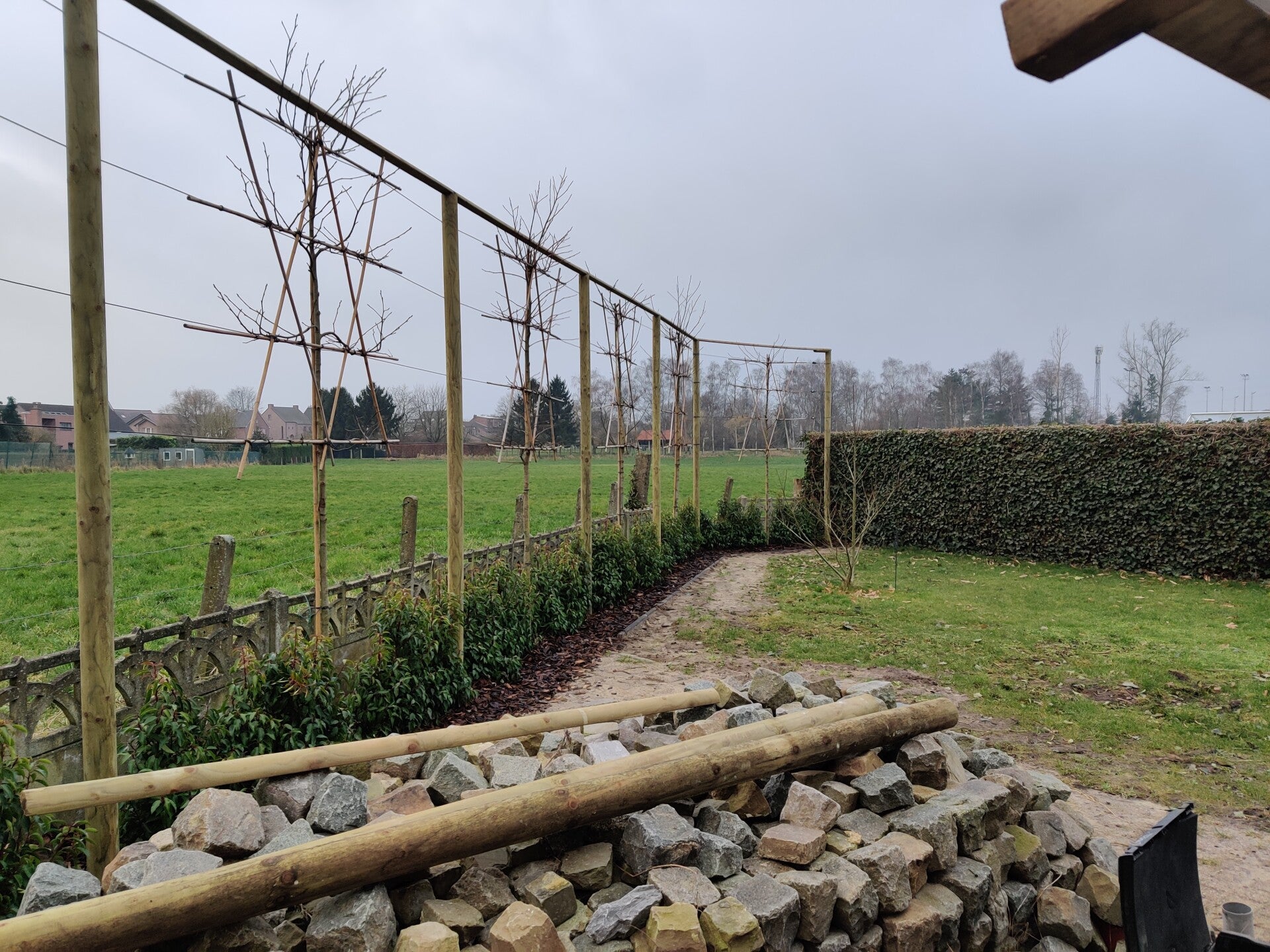 Plaatsing van leibomen en omheining langs een weide