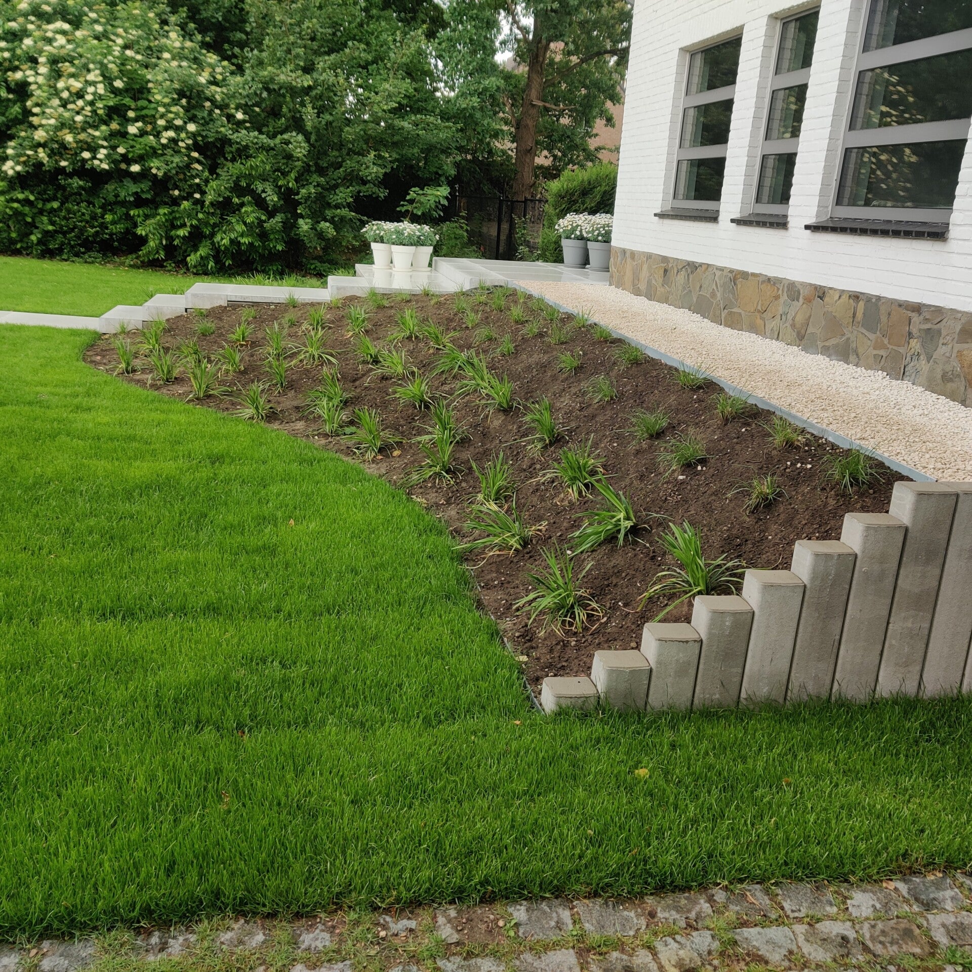 Nieuw aangeplante border met betonnen palissaden langs het gazon